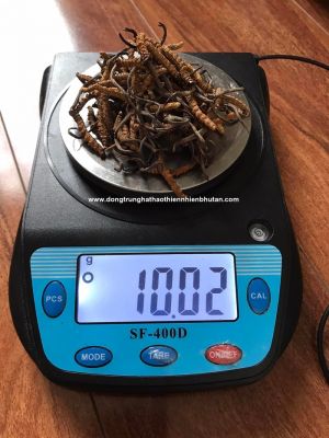 Đông Trùng Hạ Thảo Thiên Nhiên Bhutan Loại C (10 Gram) Giá: