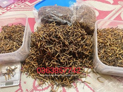 Uống gì để thận khỏe?