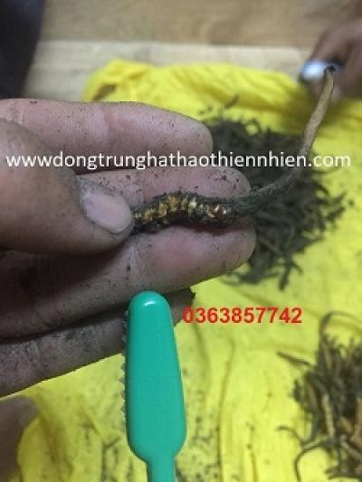 Thu hồi nước súc miệng trẻ em do chứa chất bảo quản không được công bố