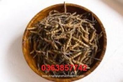 An Giang thu hồi hơn 300 giấy công bố mỹ phẩm
