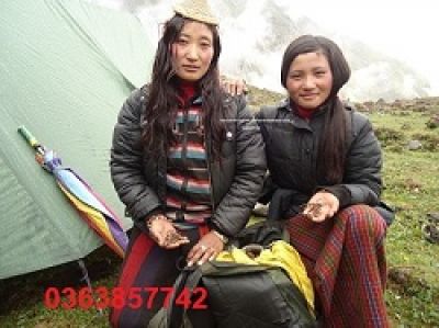 Su&yacute;t mất mạng sau chầu nhậu v&igrave; uống thuốc trị đau răng