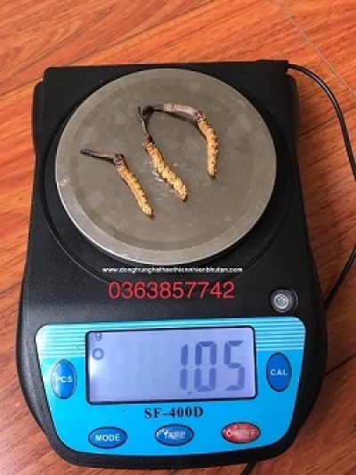 Người dưới 18 tuổi mắc bệnh tình dục tăng