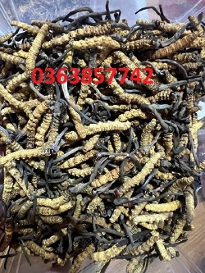 Người phụ nữ bị xe rác đè trọng thương