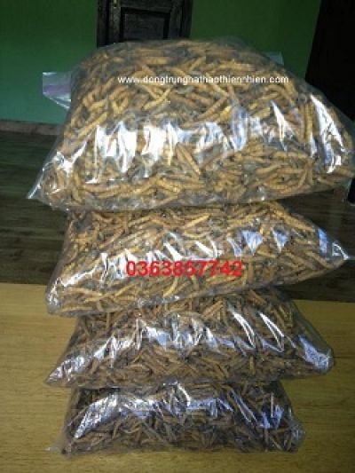 Mẹo chọn sầu riêng chín tự nhiên, không hóa chất
