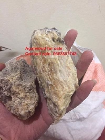 Trầm Hương Việt Nam