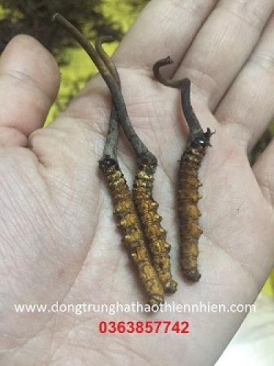 Truy nguồn gốc thuốc dạ dày giả bán ở Hà Nội